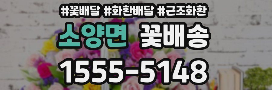 소양면 꽃배송