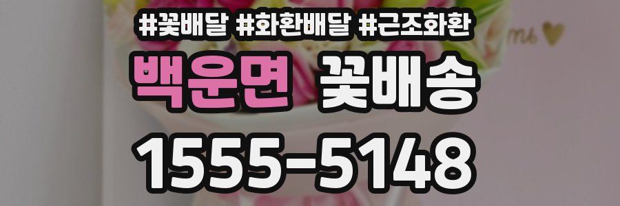 백운면 꽃배송