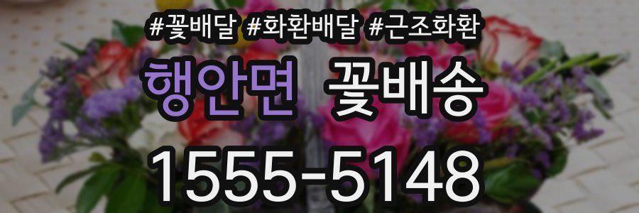 행안면 꽃배송