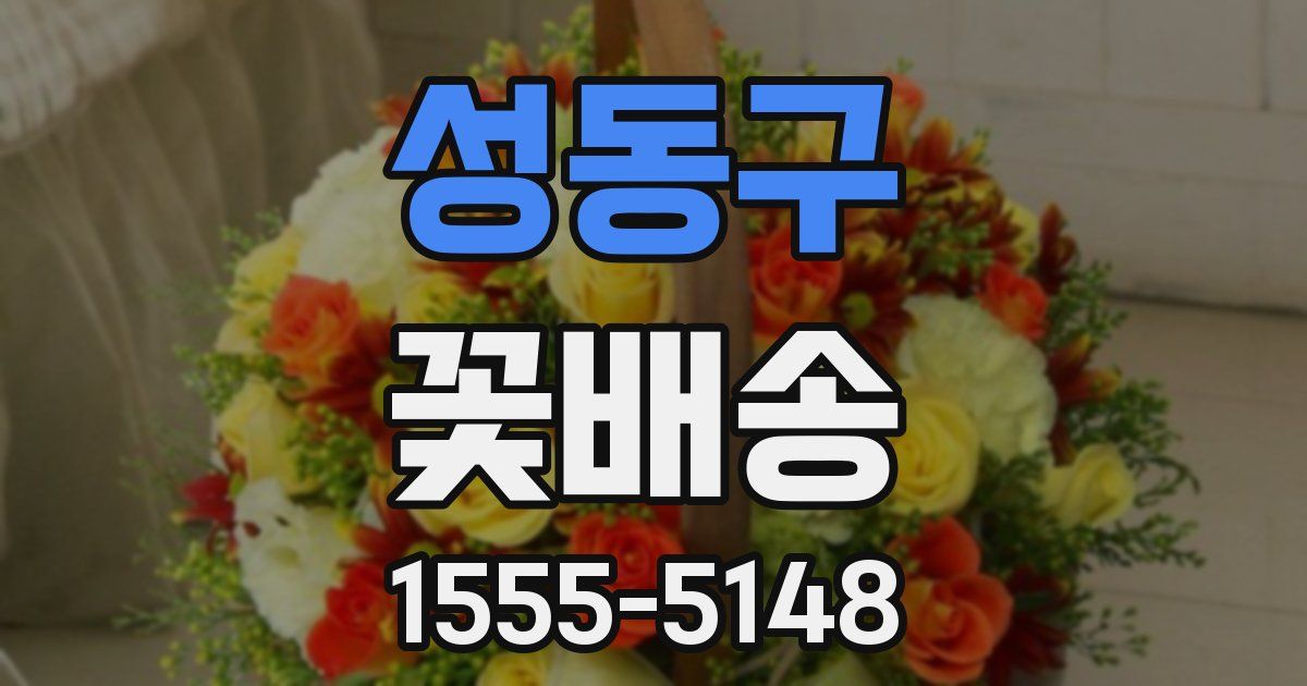 성동구 꽃배송