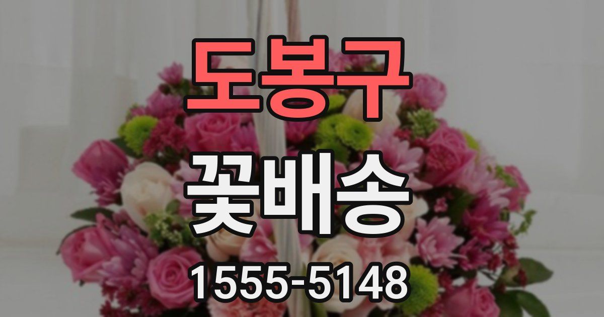 도봉구 꽃배송