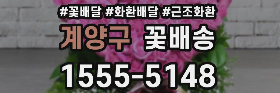 계양구 꽃배송