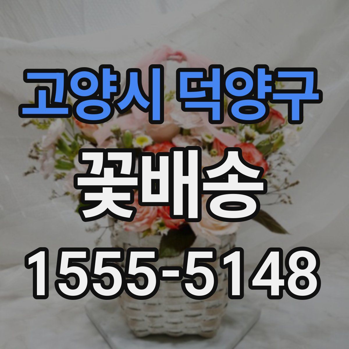 고양시 덕양구 꽃배송