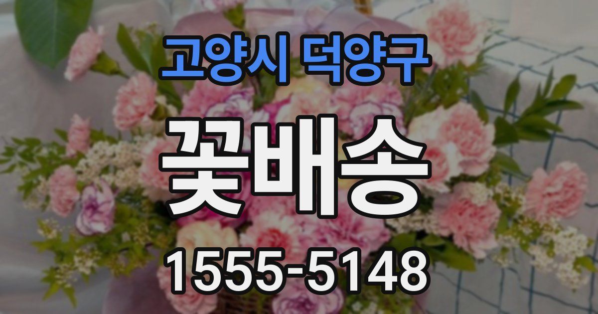 고양시 덕양구 꽃배송