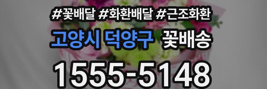 고양시 덕양구 꽃배송