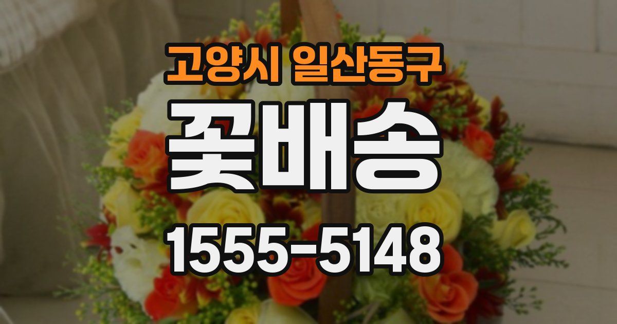 고양시 일산동구 꽃배송