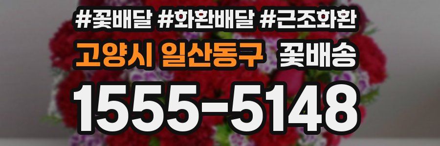 고양시 일산동구 꽃배송