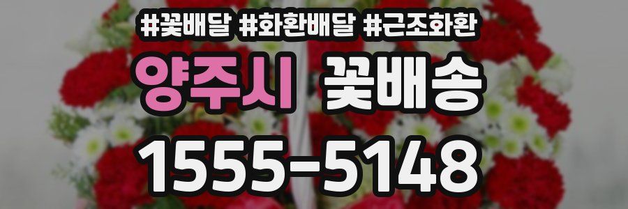 양주시 꽃배송