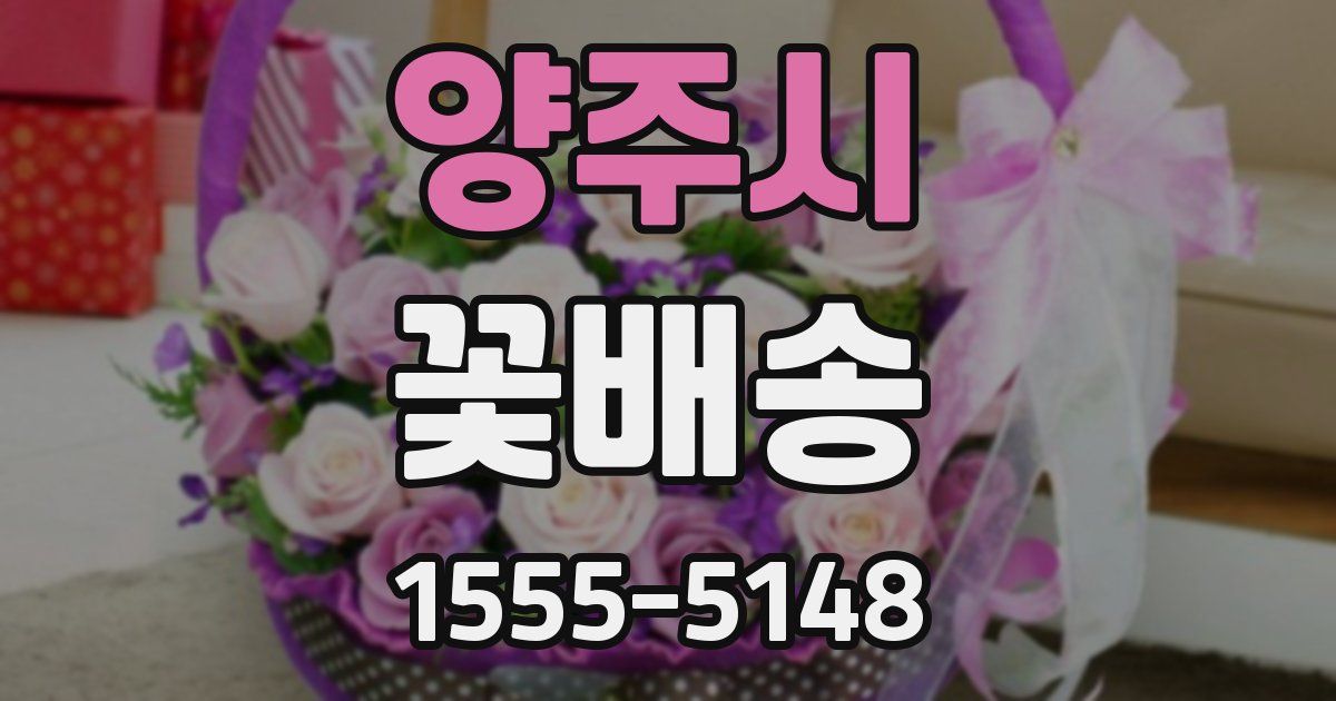 양주시 꽃배송