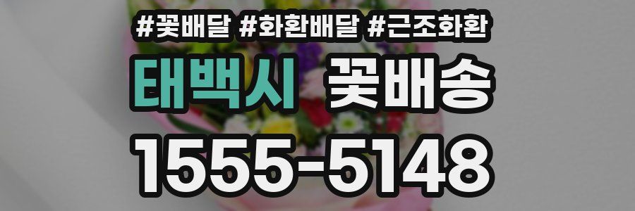 태백시 꽃배송