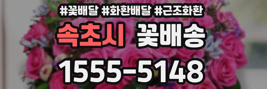 속초시 꽃배송