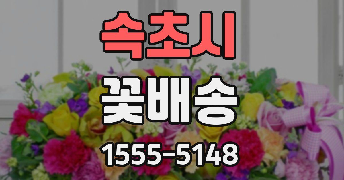 속초시 꽃배송