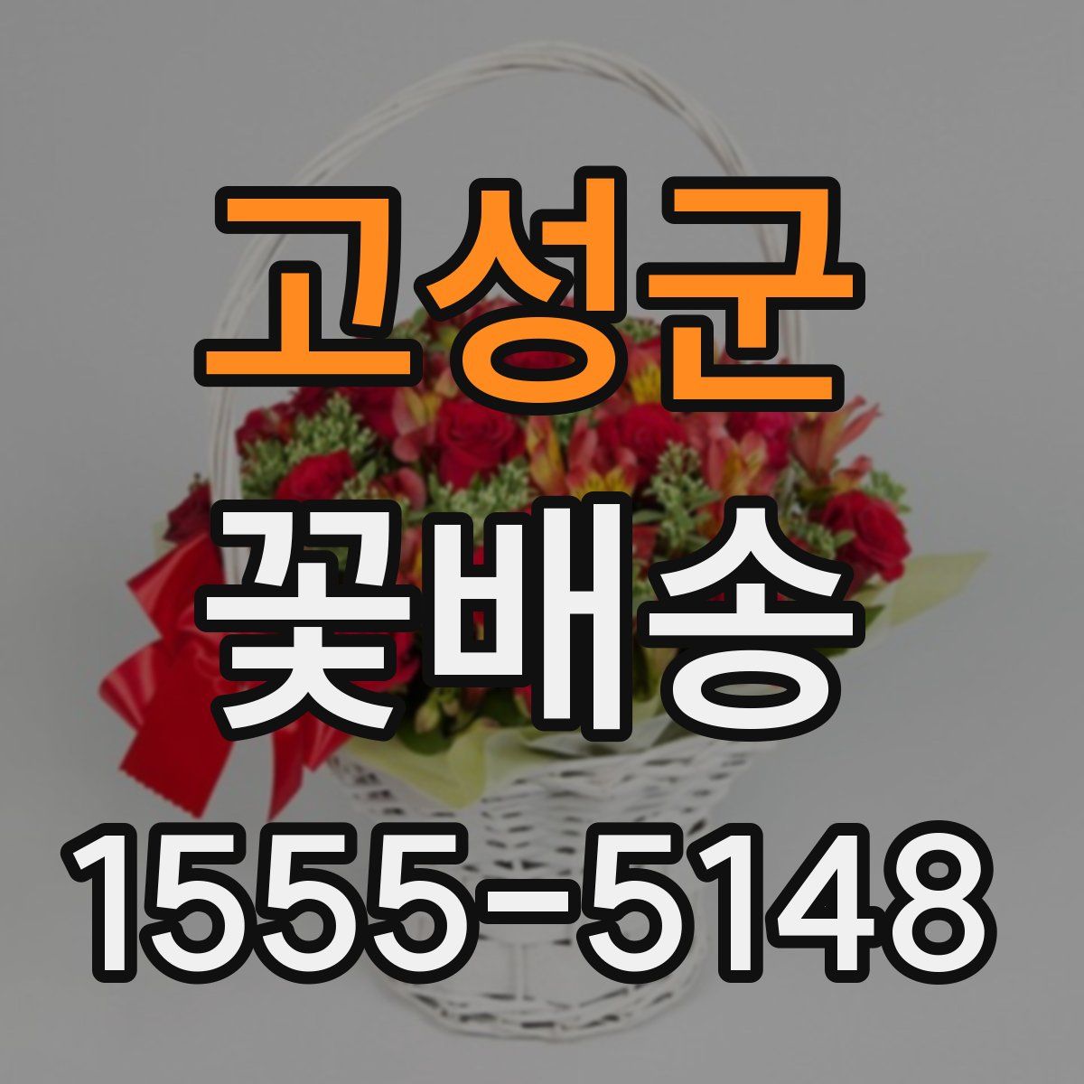 고성군 꽃배송