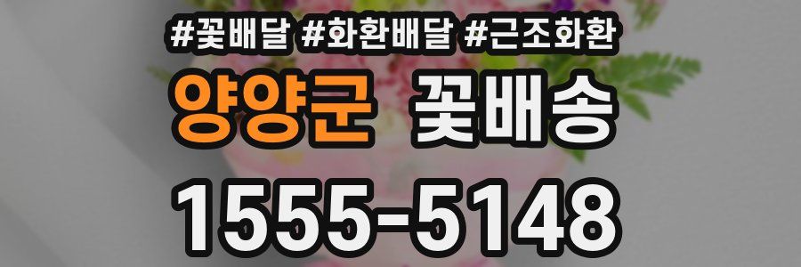 양양군 꽃배송