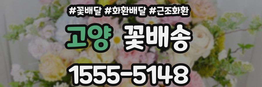고양 꽃배송