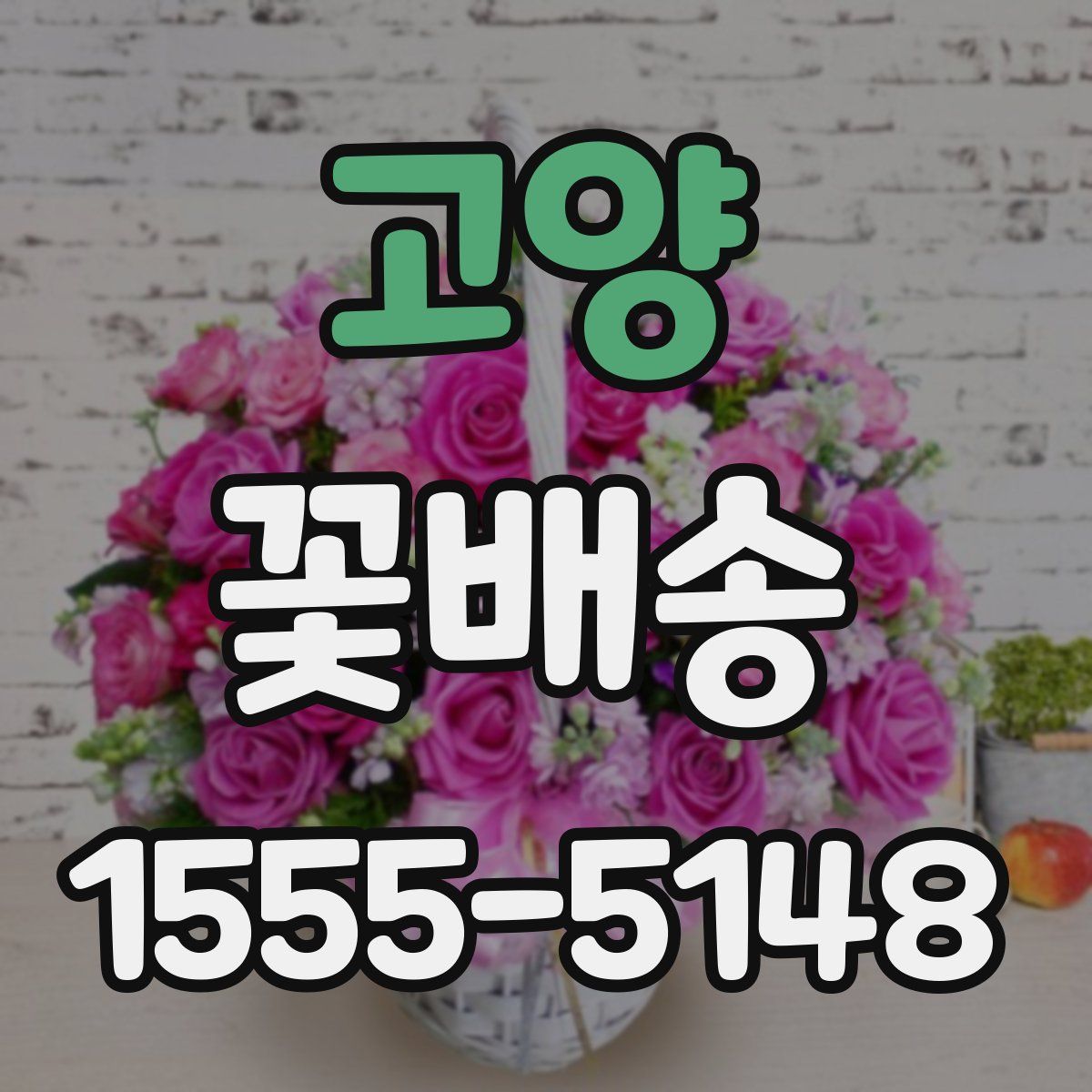 고양 꽃배송