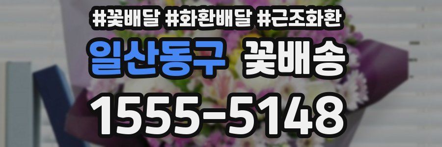 일산동구 꽃배송