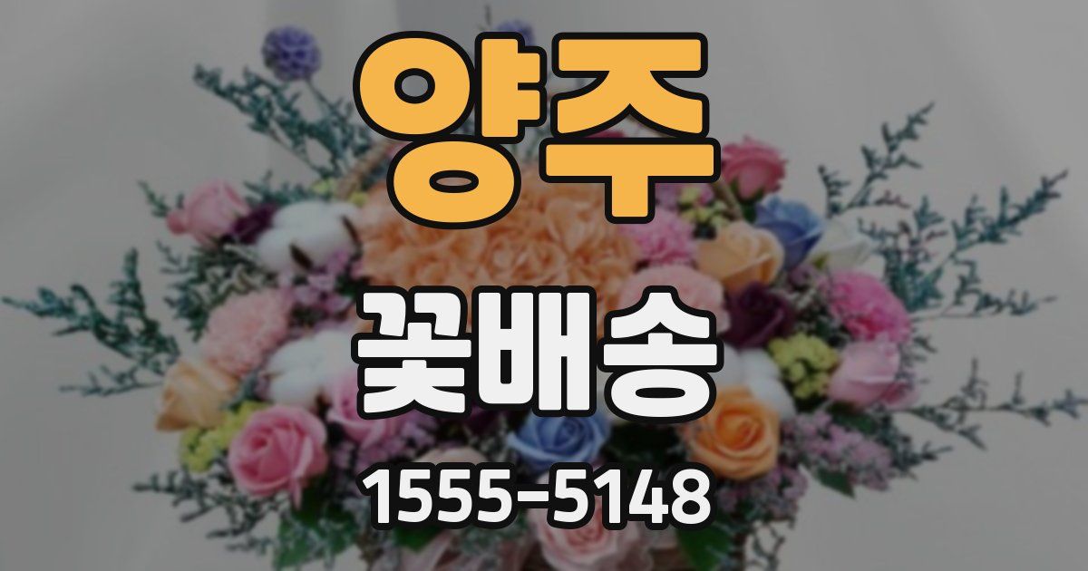 양주 꽃배송