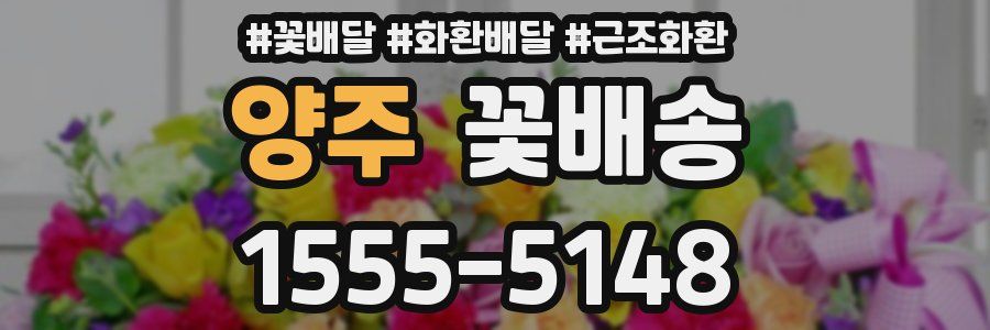 양주 꽃배송