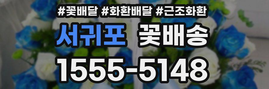 서귀포 꽃배송