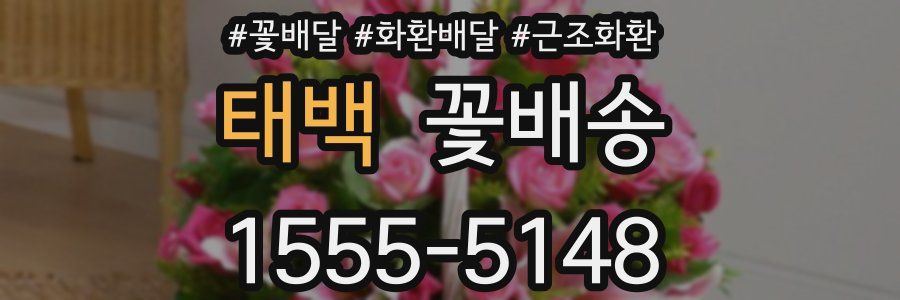 태백 꽃배송
