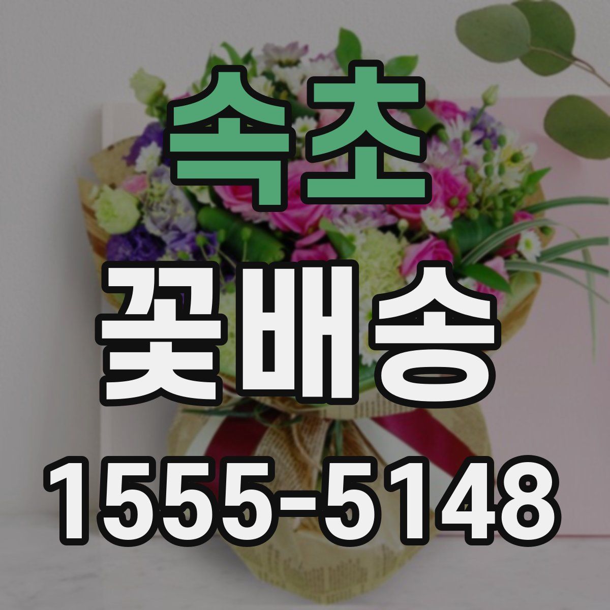 속초 꽃배송