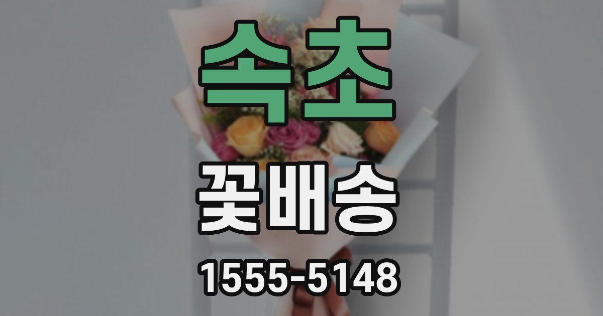 속초 꽃배송