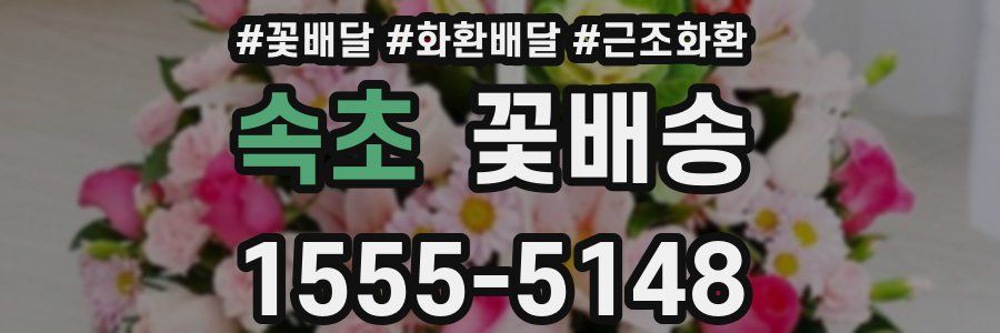 속초 꽃배송