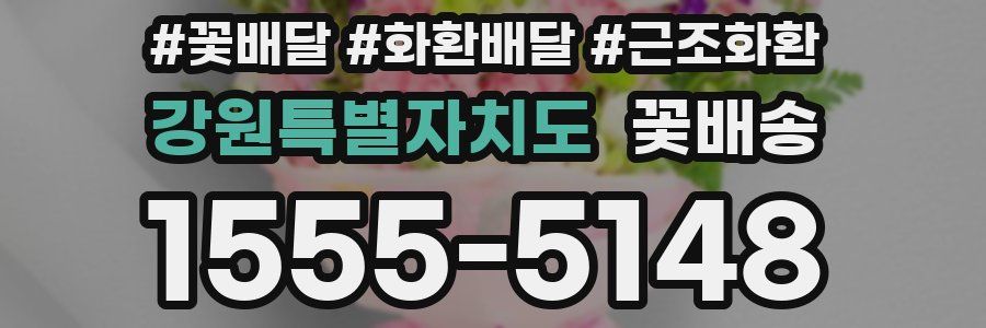 강원특별자치도 꽃배송
