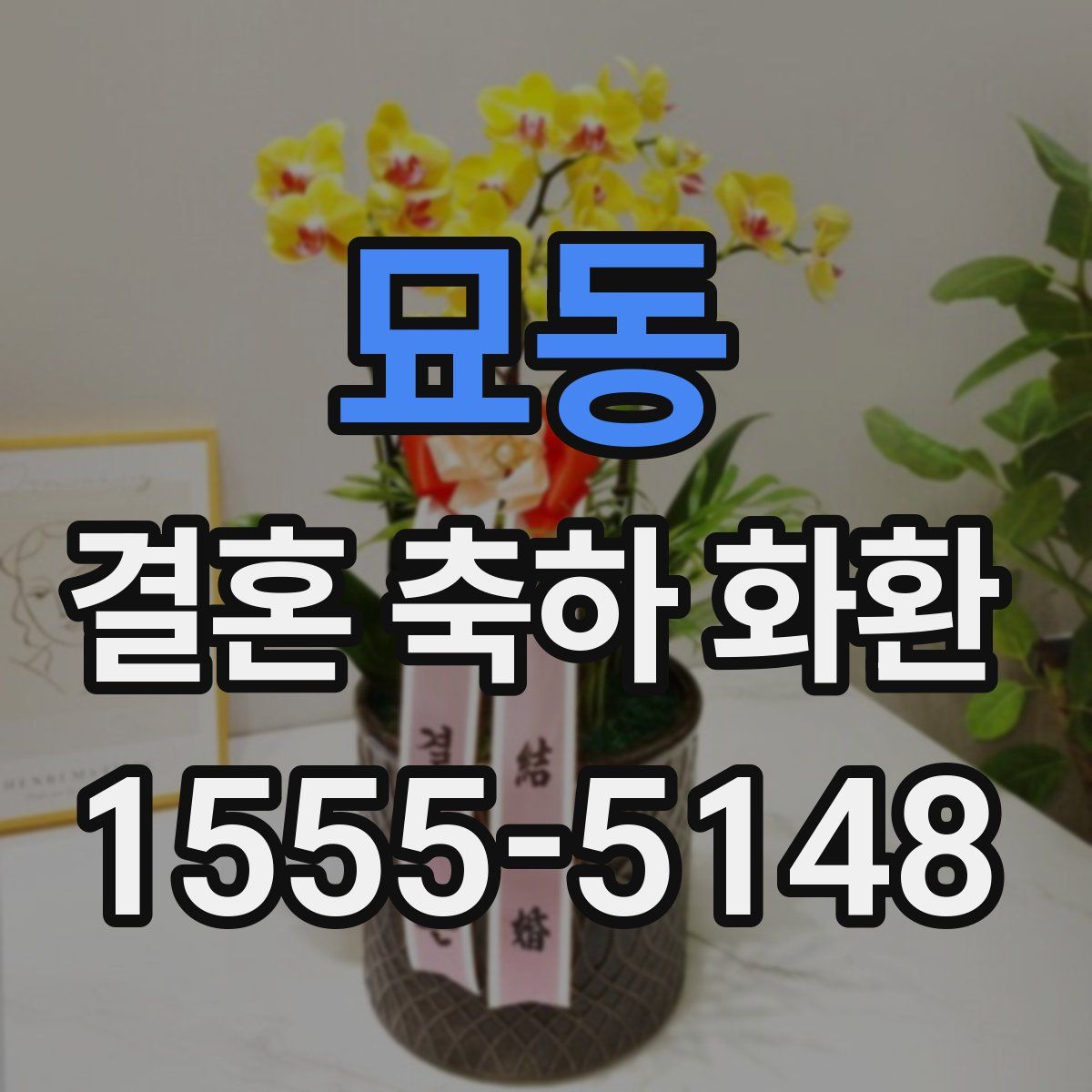 묘동 결혼 축하 화환