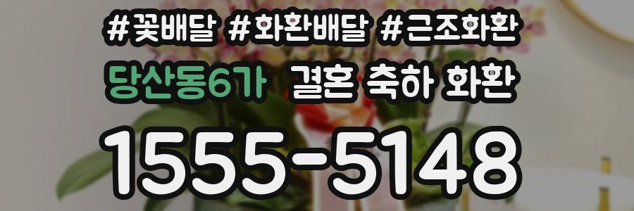 당산동6가 결혼 축하 화환