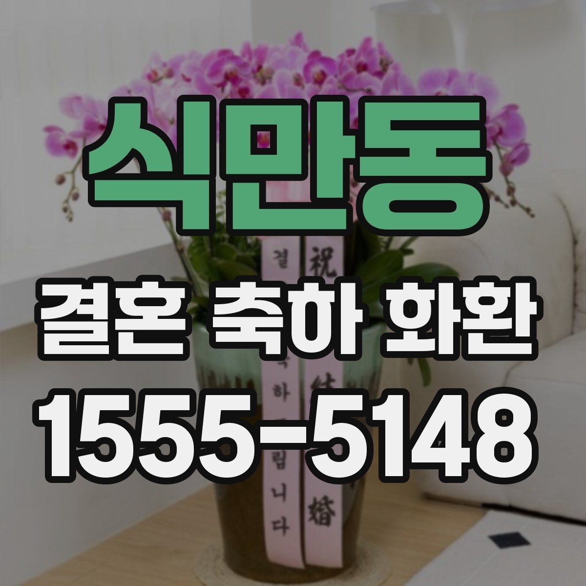 식만동 결혼 축하 화환 지역 배송 후기에서 자주 보이는 점