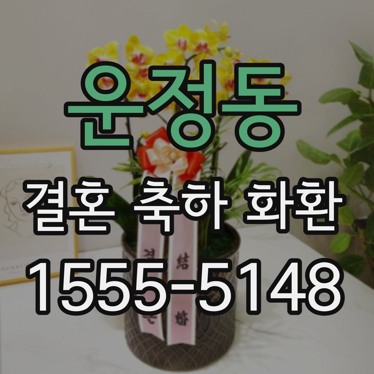 운정동 결혼 축하 화환