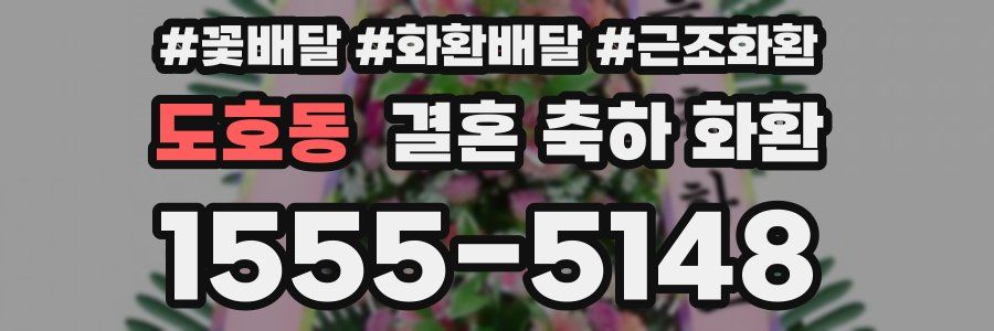 도호동 결혼 축하 화환