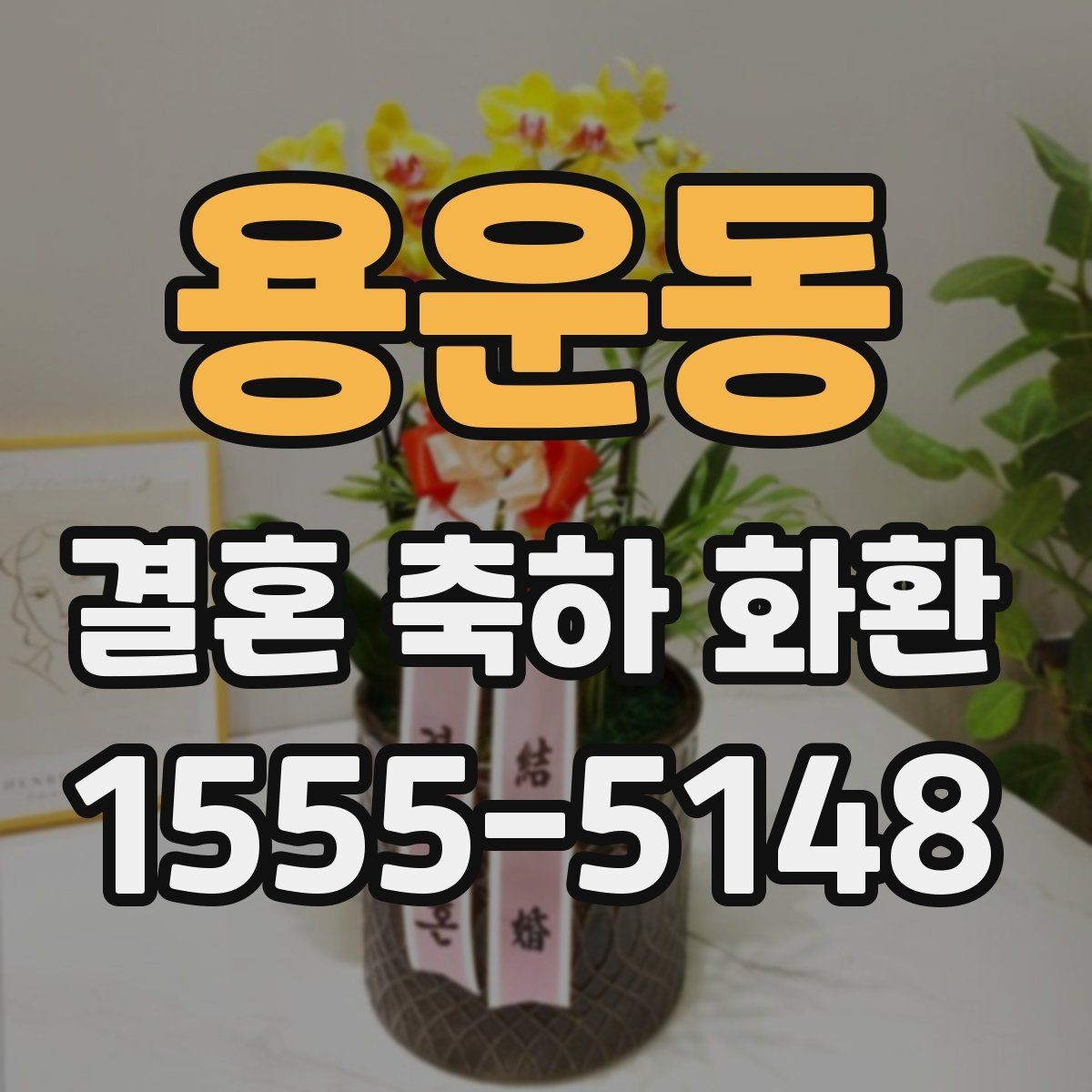 용운동 결혼 축하 화환 문구를 고를 때 참고할 기준