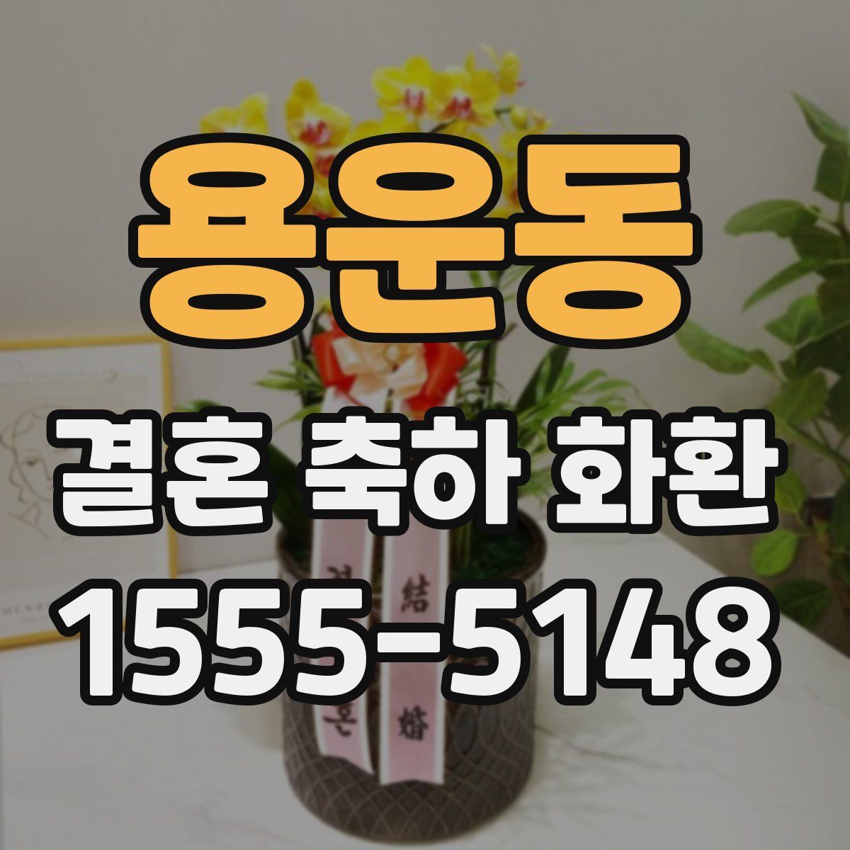 용운동 결혼 축하 화환