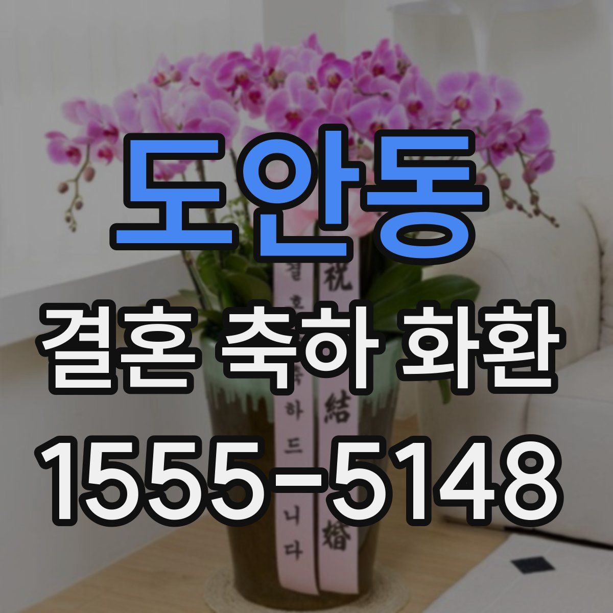 도안동 결혼 축하 화환