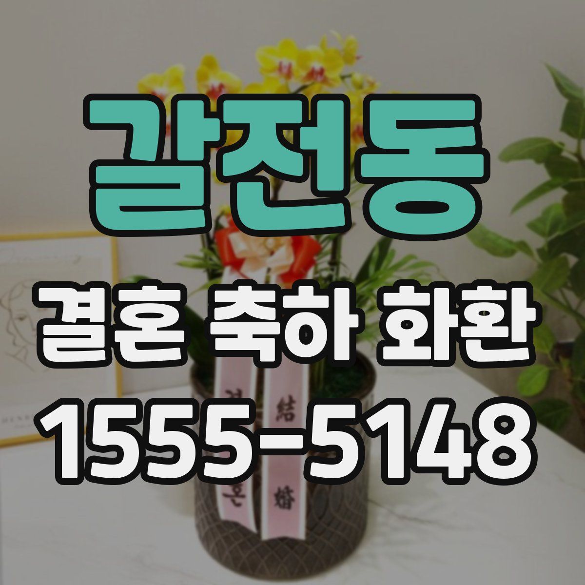 갈전동 결혼 축하 화환