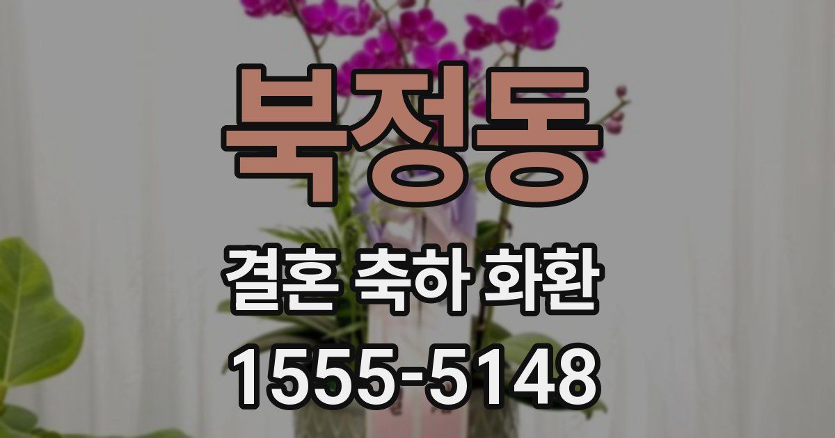 북정동 결혼 축하 화환
