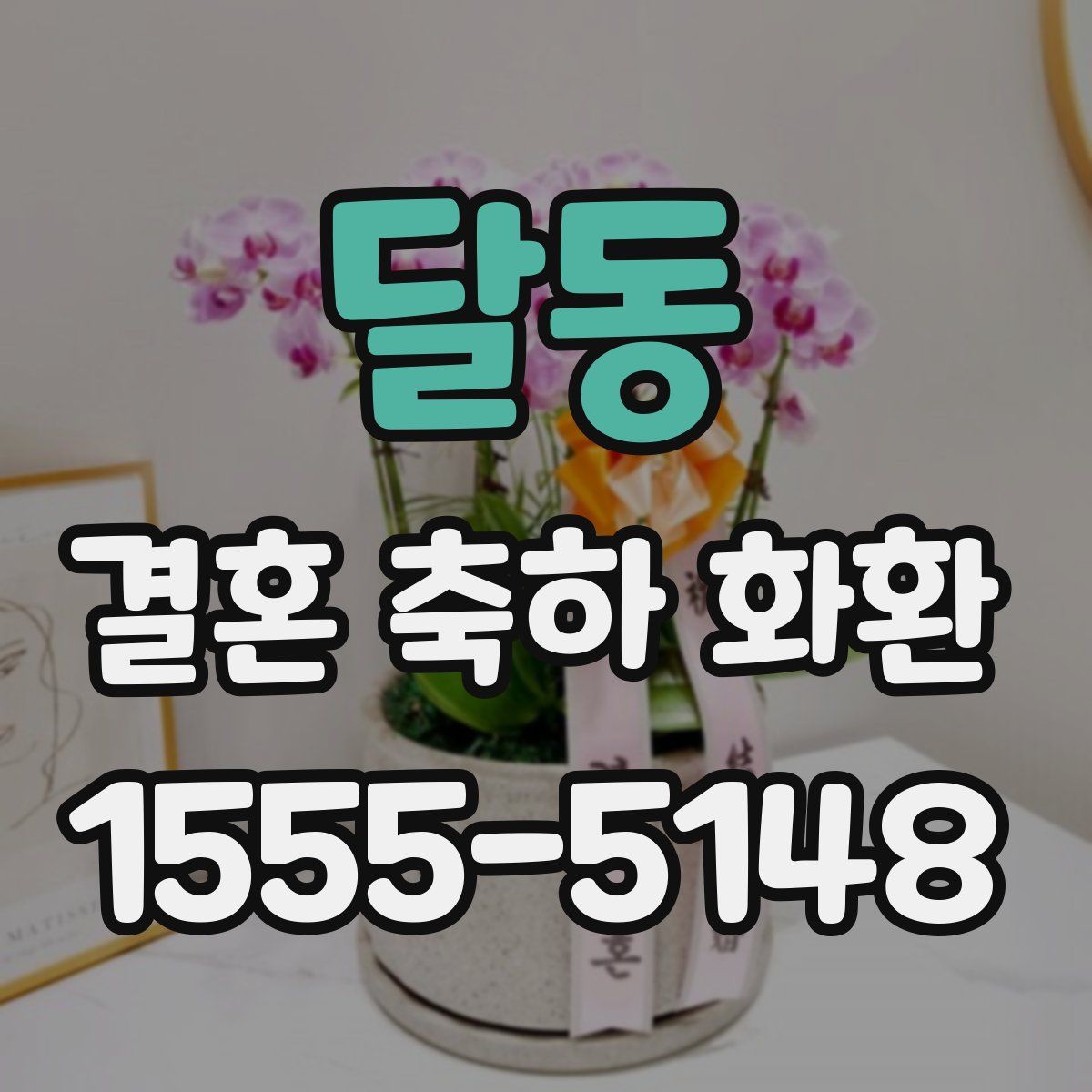 달동 결혼 축하 화환