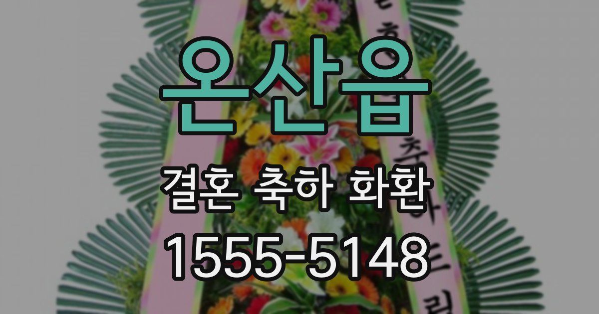 온산읍 결혼 축하 화환