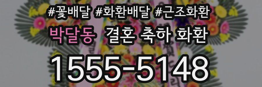 박달동 결혼 축하 화환