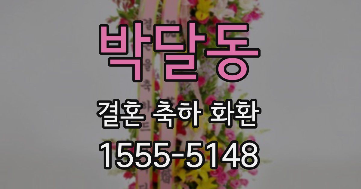 박달동 결혼 축하 화환
