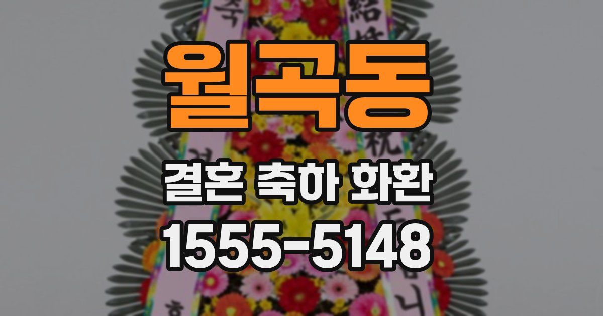 월곡동 결혼 축하 화환