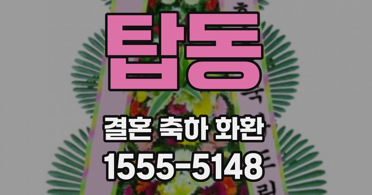 탑동 결혼 축하 화환
