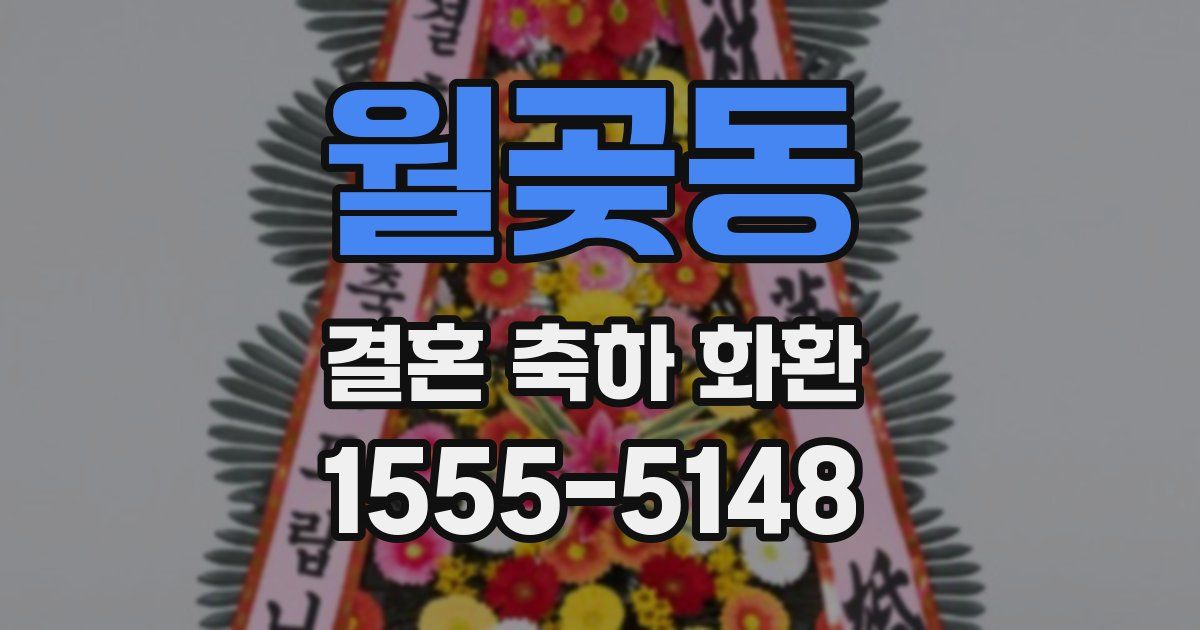 월곶동 결혼 축하 화환