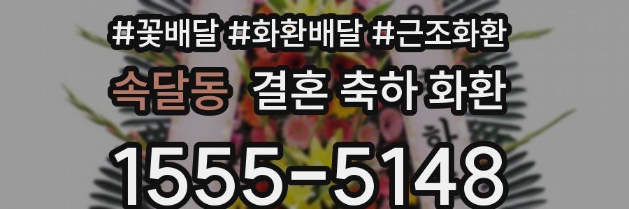 속달동 결혼 축하 화환