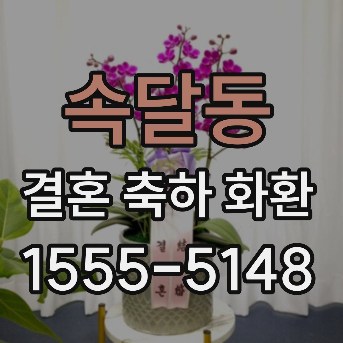 속달동 결혼 축하 화환