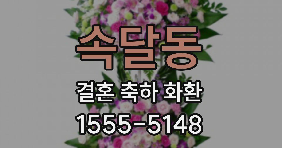 속달동 결혼 축하 화환