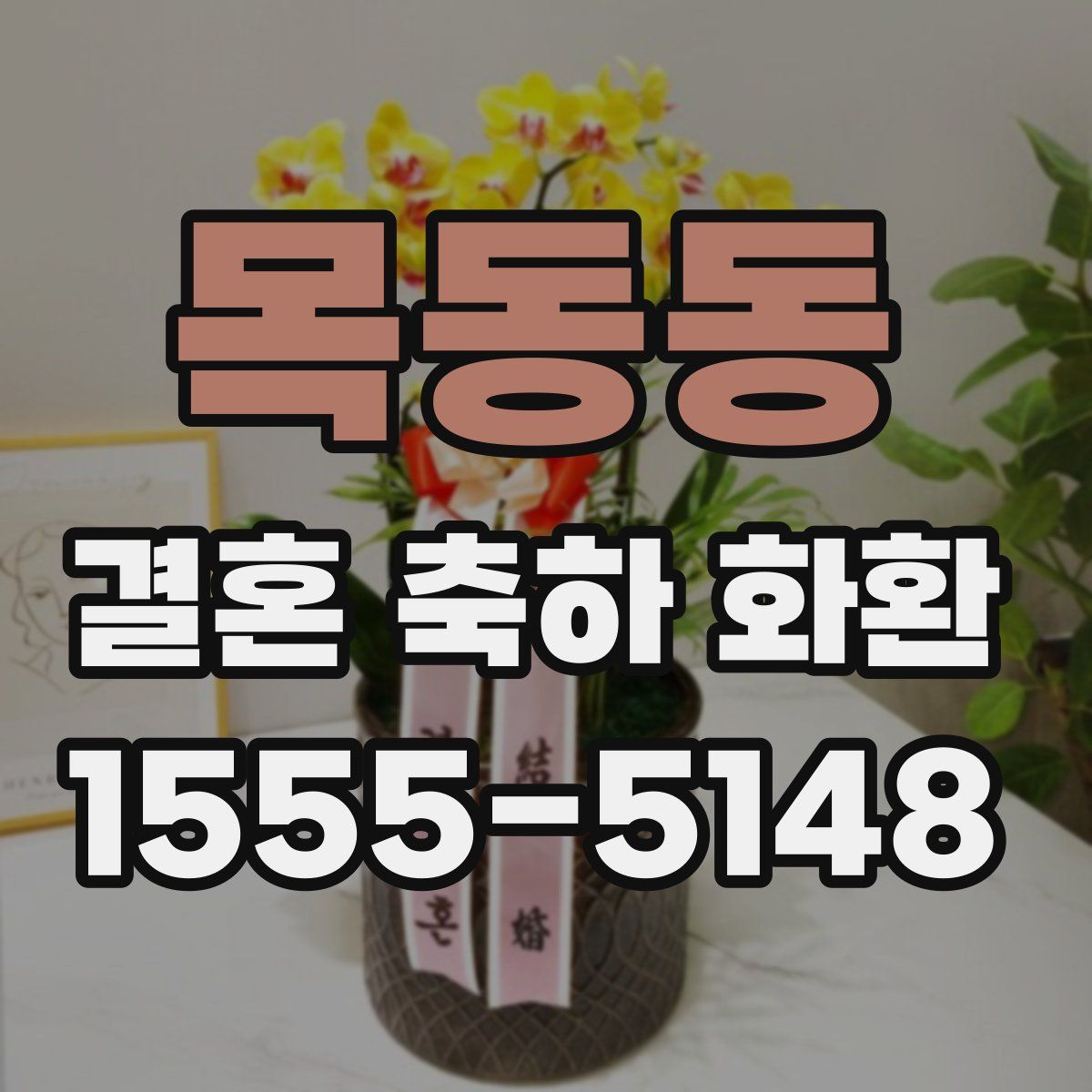 목동동 결혼 축하 화환